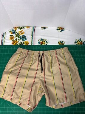 WXYZ Mfg Co. Men's Tan Stripe Beach Shorts Swim Summer Not Lined